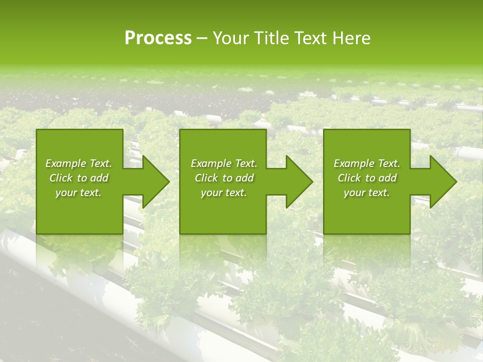 Growing Good Background PowerPoint Template