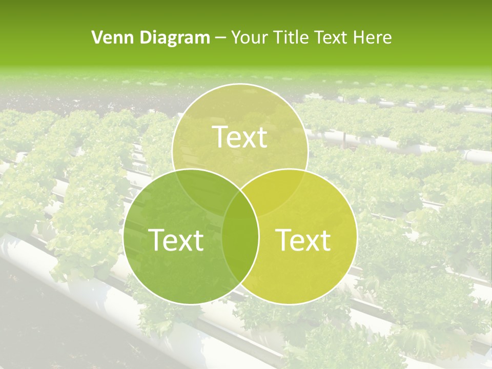 Growing Good Background PowerPoint Template