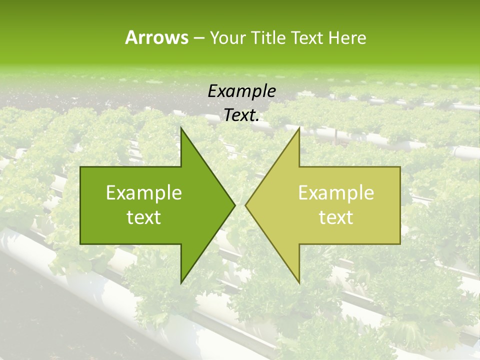 Growing Good Background PowerPoint Template