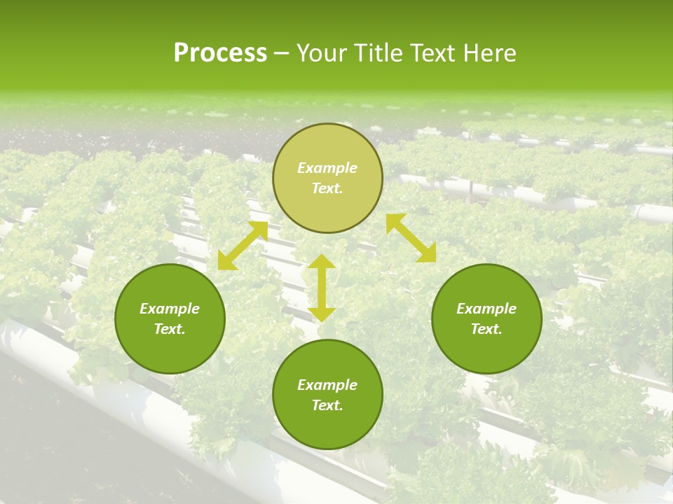 Growing Good Background PowerPoint Template