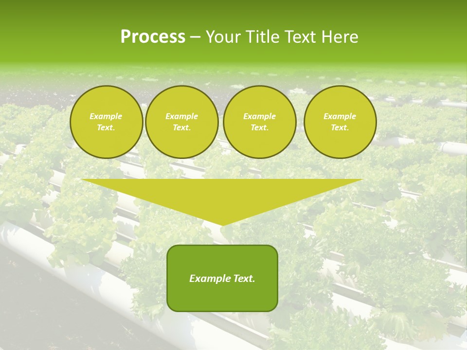Growing Good Background PowerPoint Template