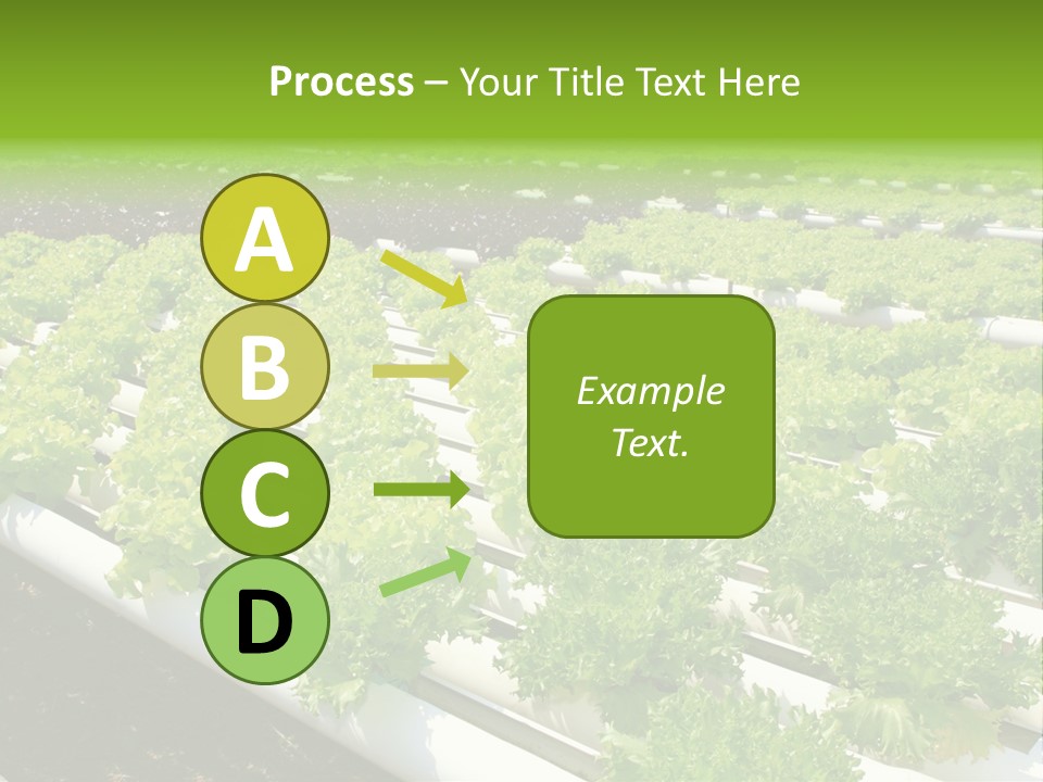 Growing Good Background PowerPoint Template