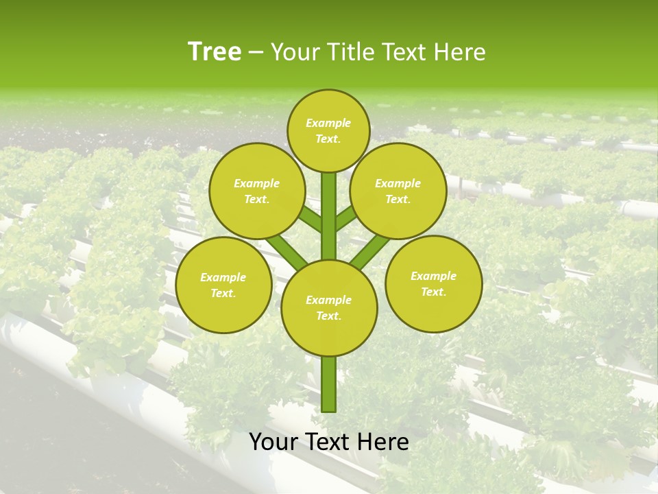 Growing Good Background PowerPoint Template