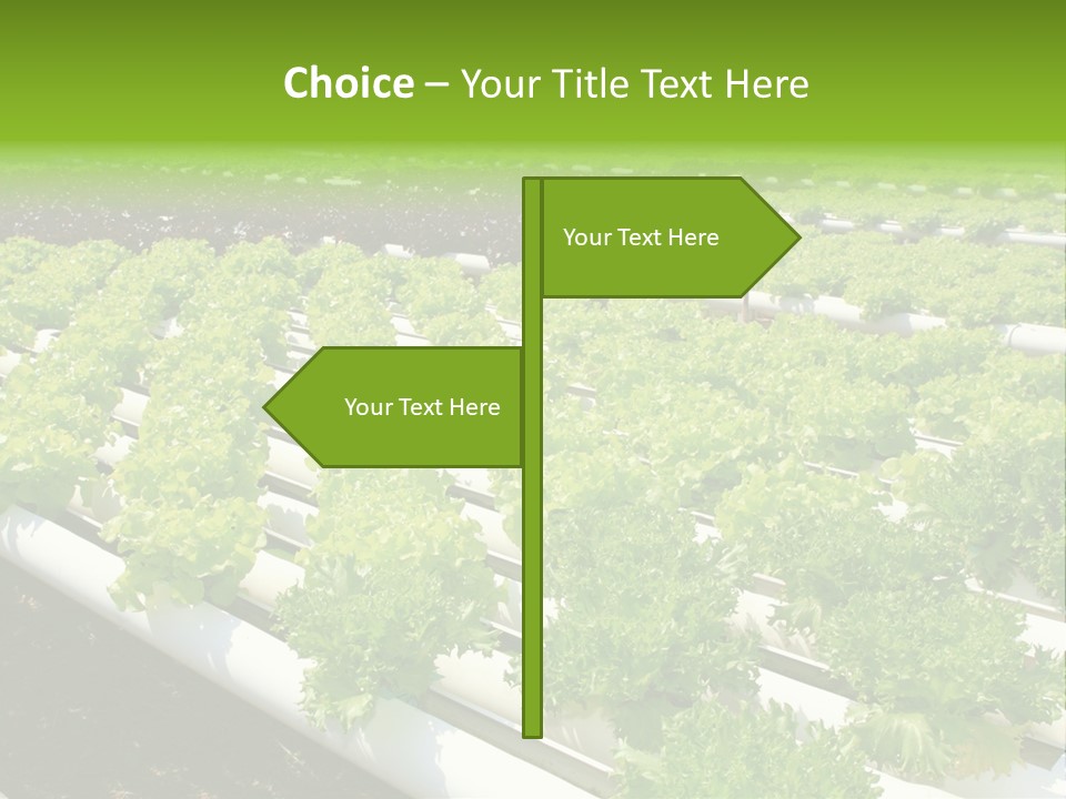 Growing Good Background PowerPoint Template