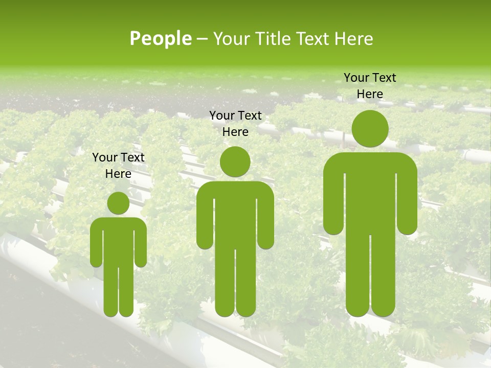 Growing Good Background PowerPoint Template