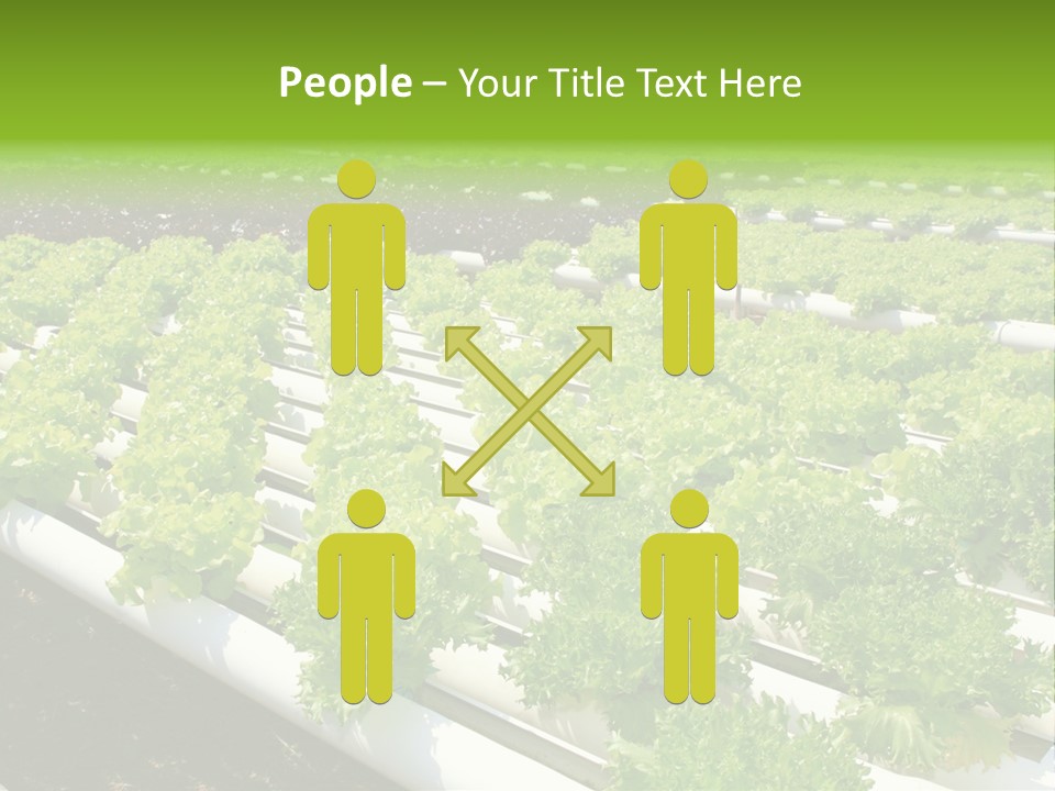 Growing Good Background PowerPoint Template