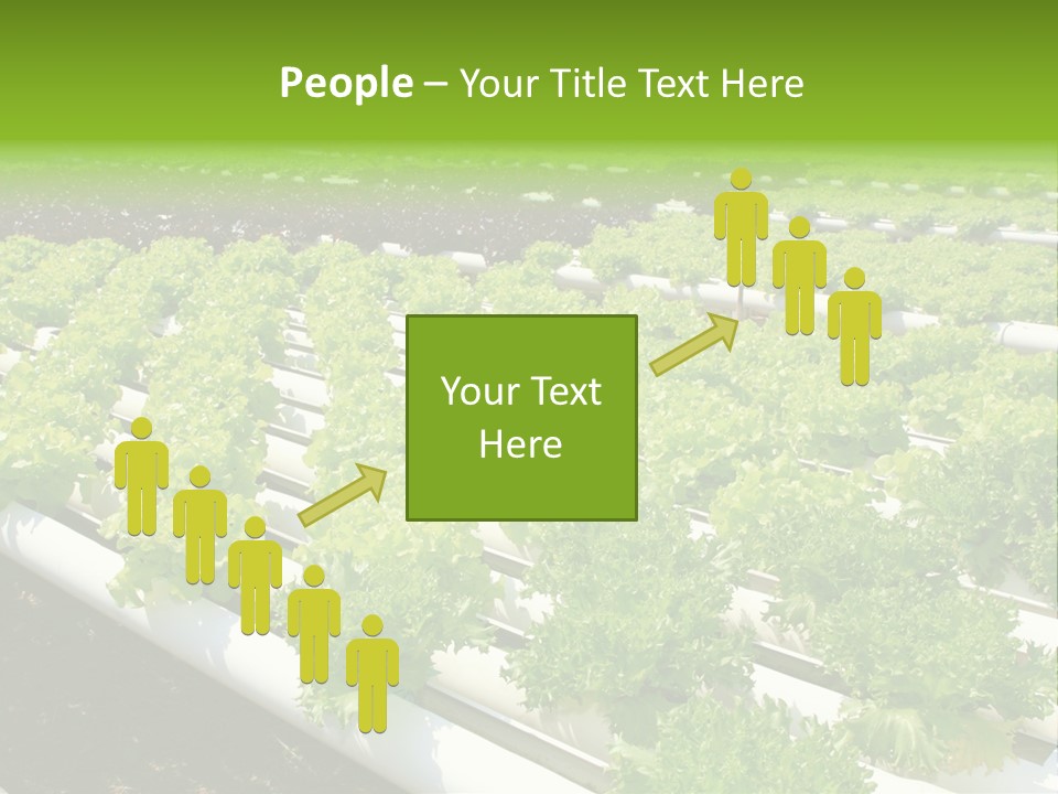 Growing Good Background PowerPoint Template