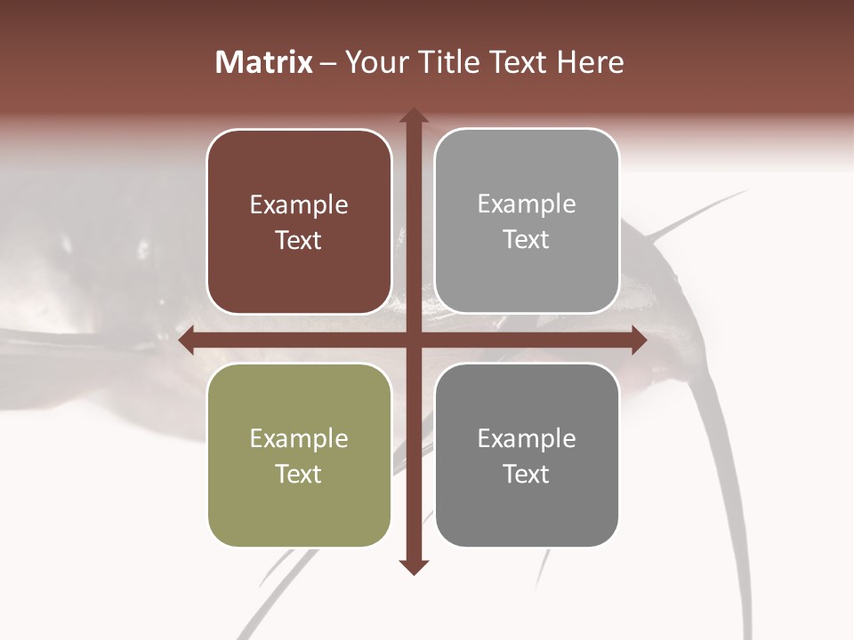 Catch American Raw PowerPoint Template