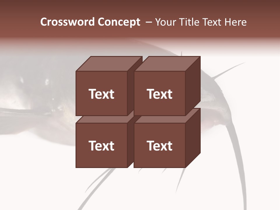 Catch American Raw PowerPoint Template