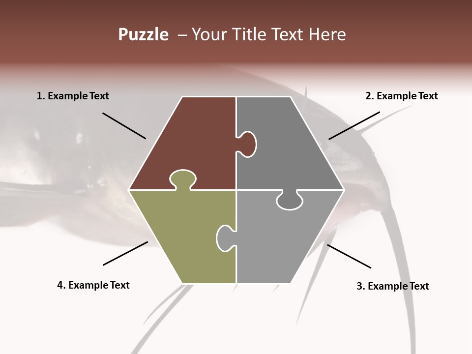 Catch American Raw PowerPoint Template