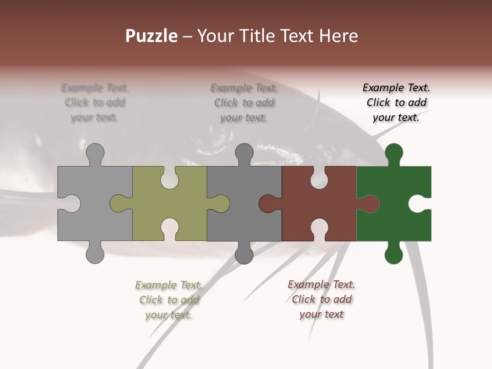 Catch American Raw PowerPoint Template