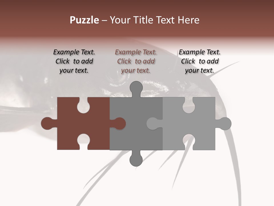 Catch American Raw PowerPoint Template