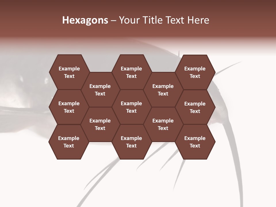 Catch American Raw PowerPoint Template