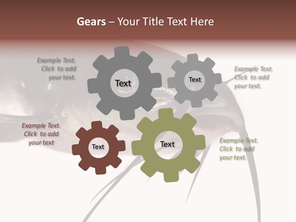 Catch American Raw PowerPoint Template