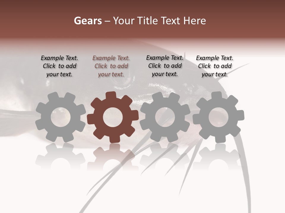 Catch American Raw PowerPoint Template