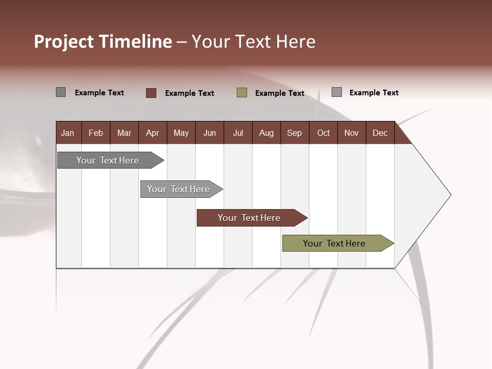 Catch American Raw PowerPoint Template