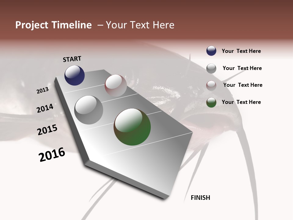 Catch American Raw PowerPoint Template