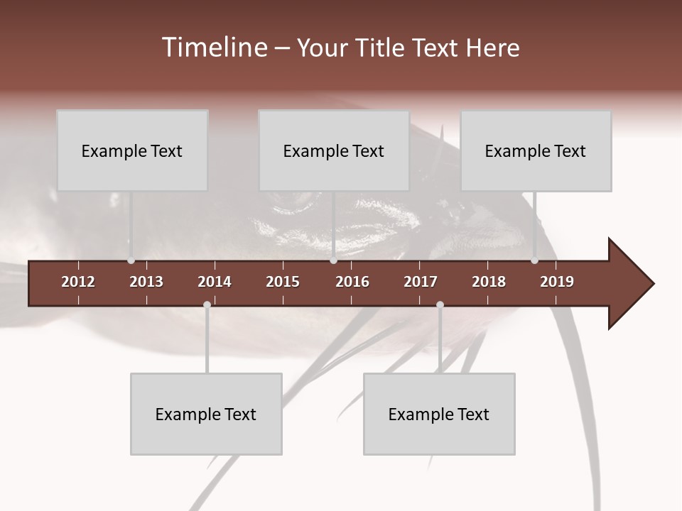 Catch American Raw PowerPoint Template