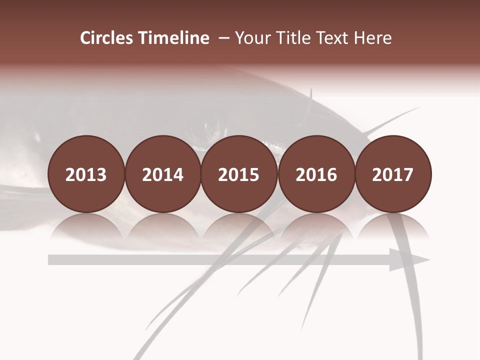 Catch American Raw PowerPoint Template