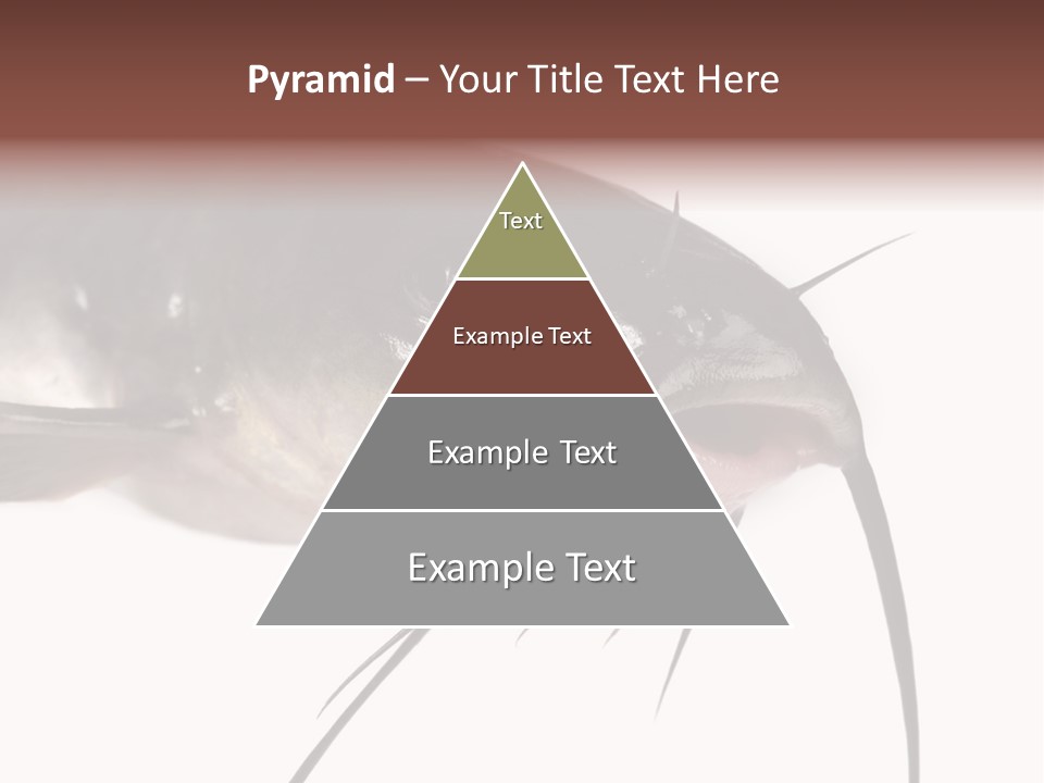 Catch American Raw PowerPoint Template