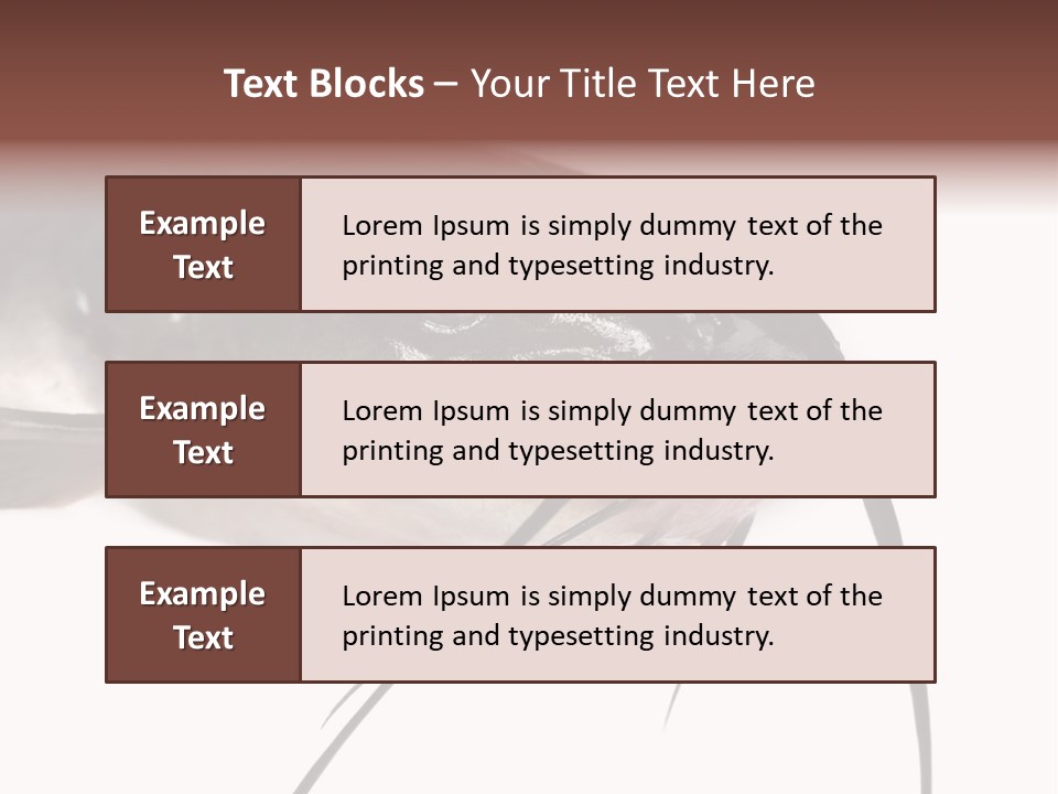 Catch American Raw PowerPoint Template
