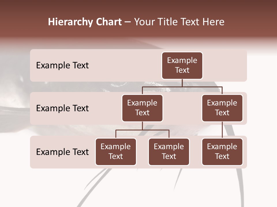 Catch American Raw PowerPoint Template