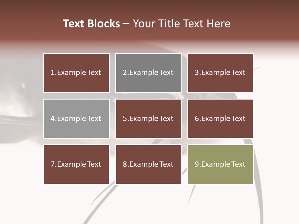 Catch American Raw PowerPoint Template