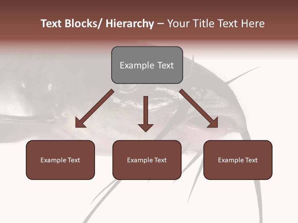 Catch American Raw PowerPoint Template