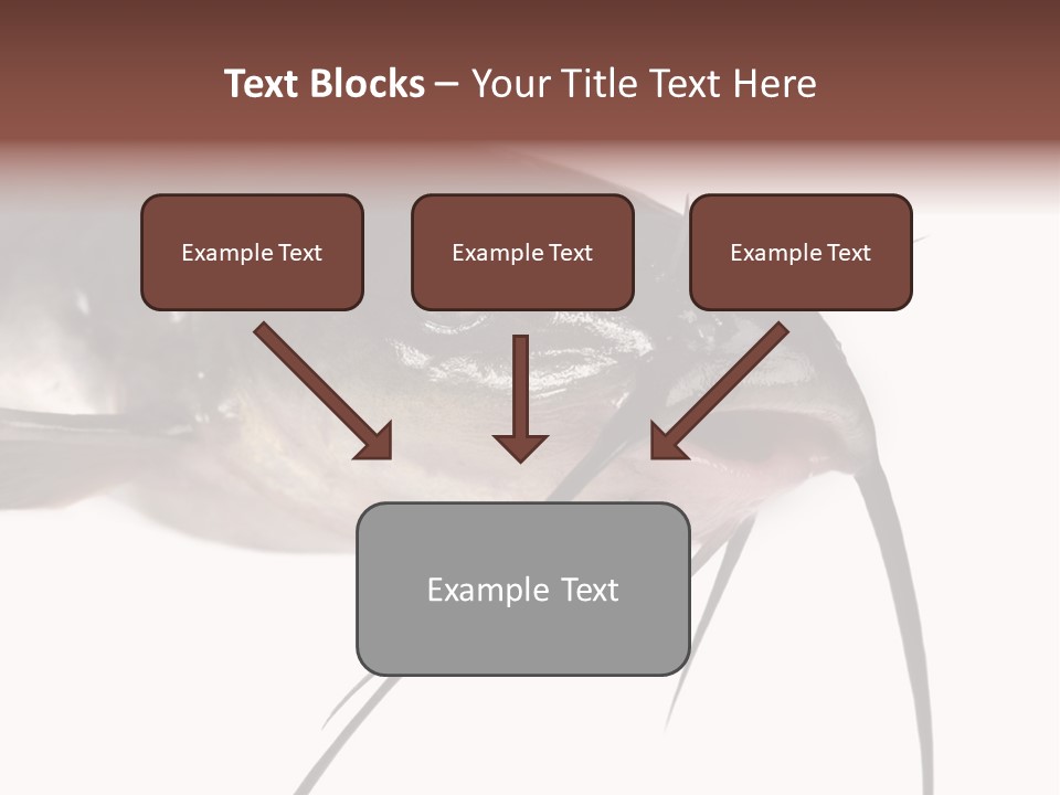 Catch American Raw PowerPoint Template