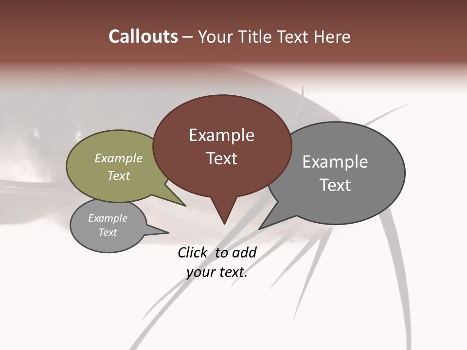 Catch American Raw PowerPoint Template