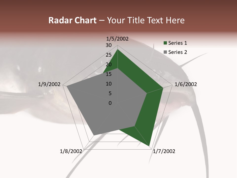 Catch American Raw PowerPoint Template