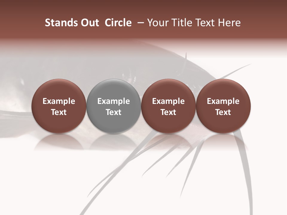 Catch American Raw PowerPoint Template