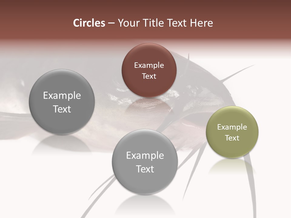 Catch American Raw PowerPoint Template