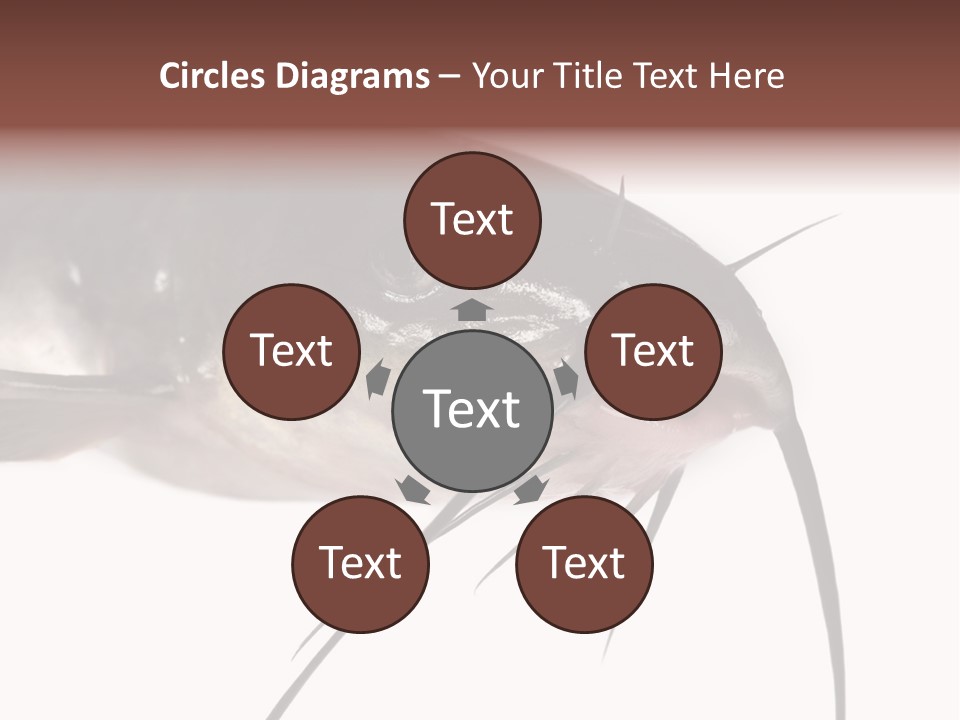 Catch American Raw PowerPoint Template