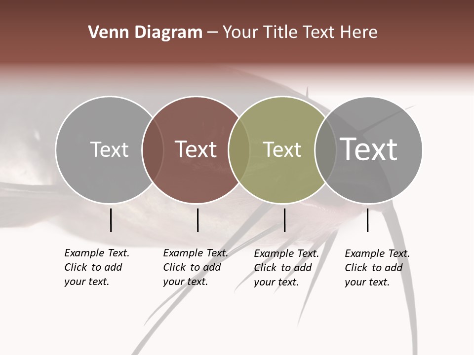 Catch American Raw PowerPoint Template
