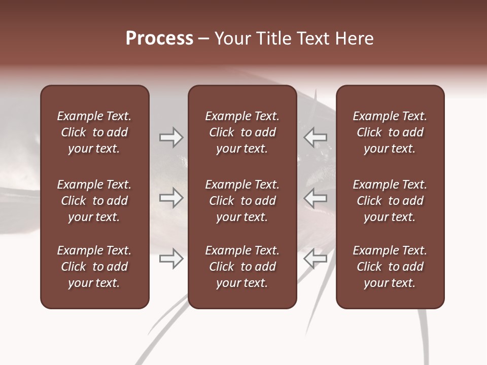 Catch American Raw PowerPoint Template