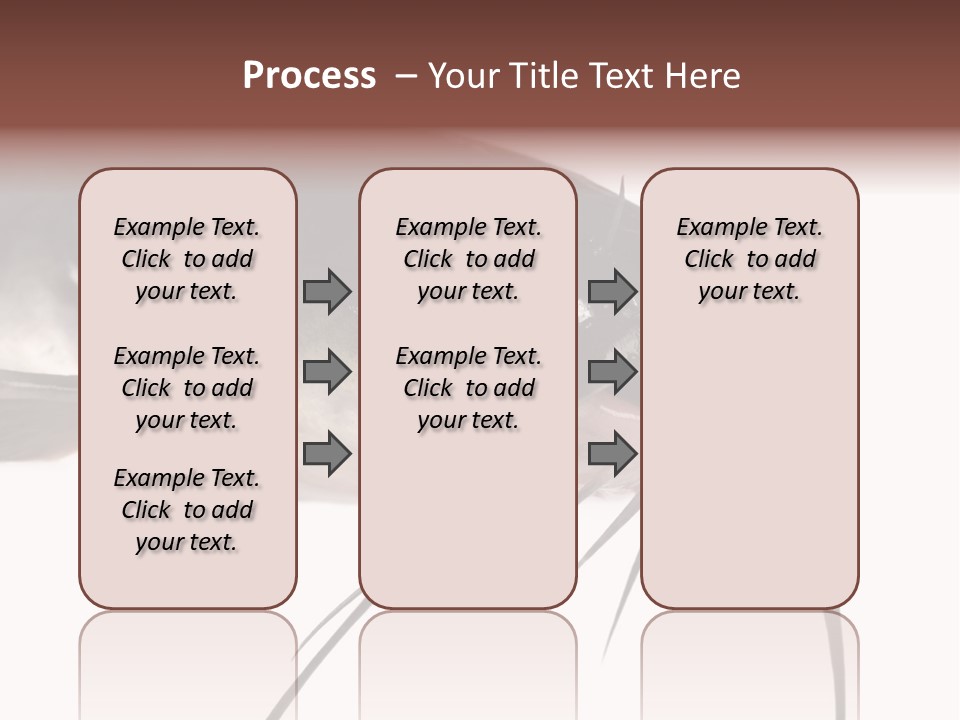 Catch American Raw PowerPoint Template