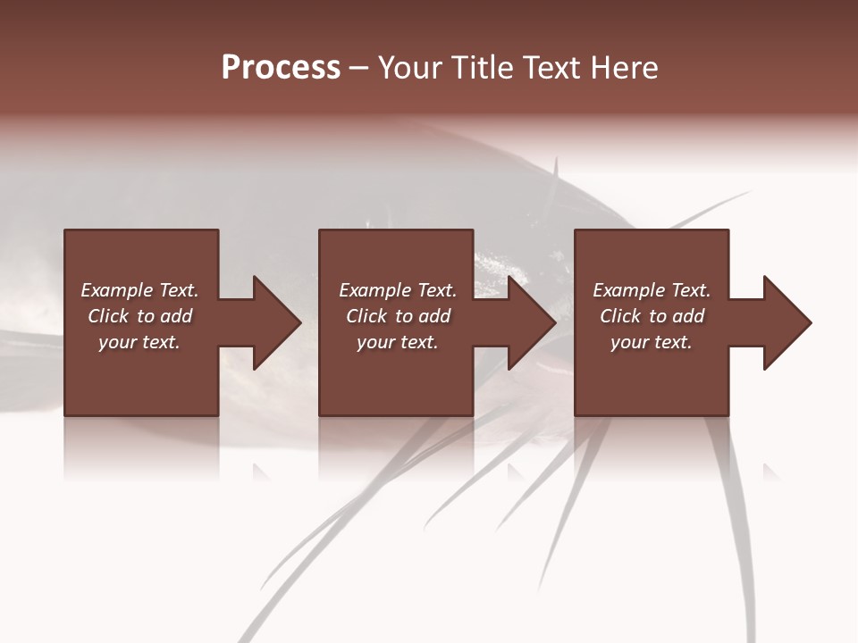 Catch American Raw PowerPoint Template