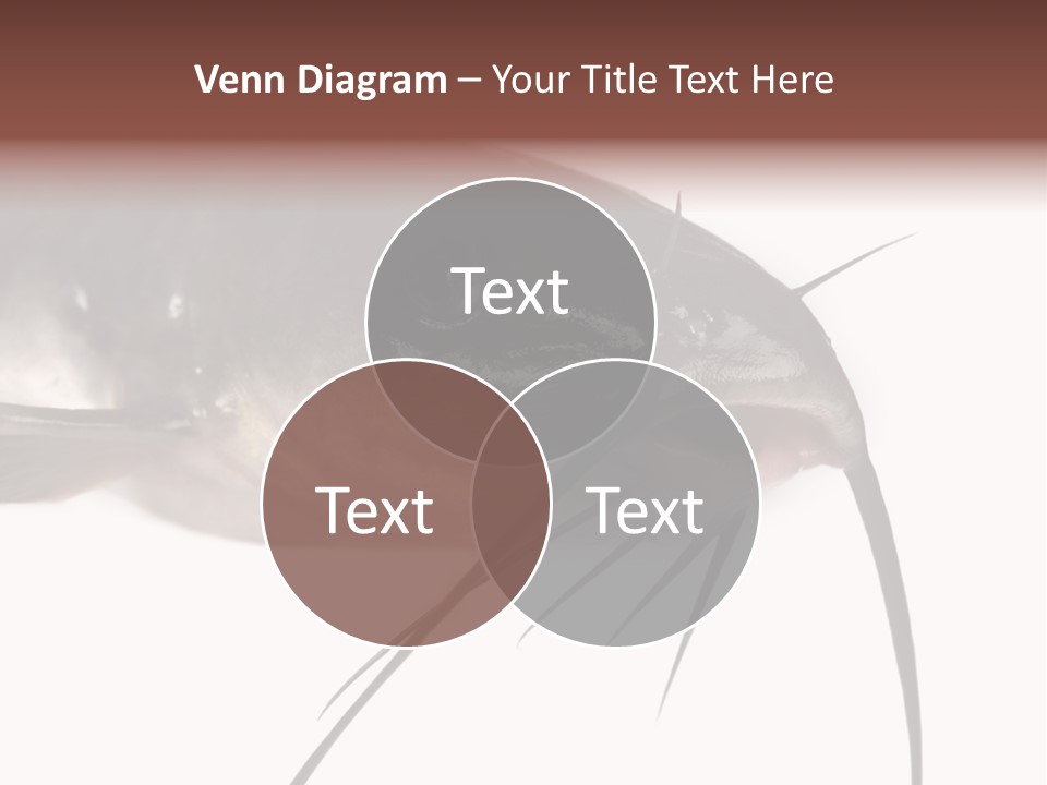 Catch American Raw PowerPoint Template