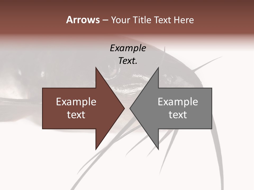 Catch American Raw PowerPoint Template