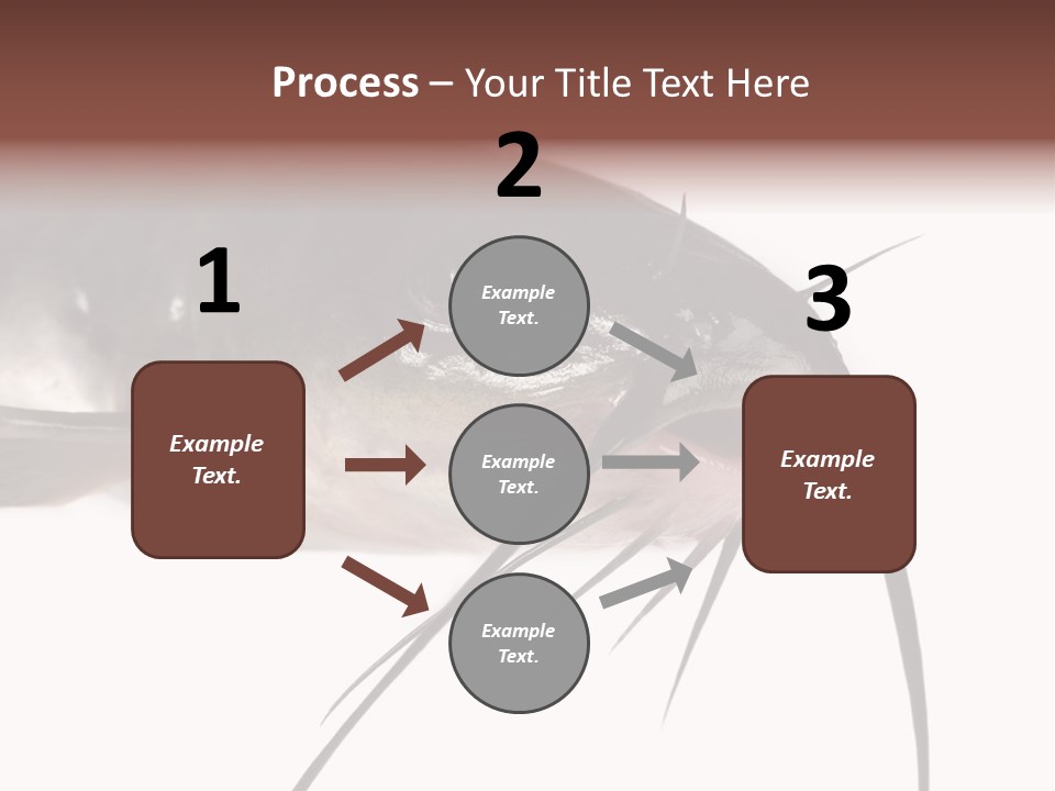 Catch American Raw PowerPoint Template