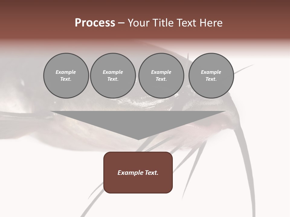 Catch American Raw PowerPoint Template