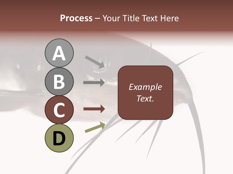 Catch American Raw PowerPoint Template