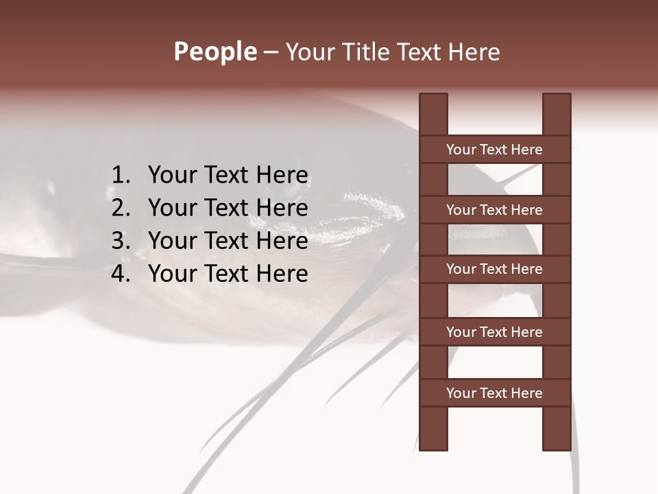 Catch American Raw PowerPoint Template