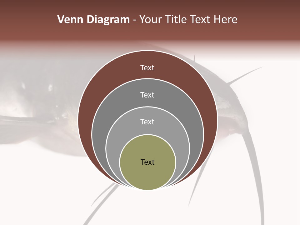 Catch American Raw PowerPoint Template