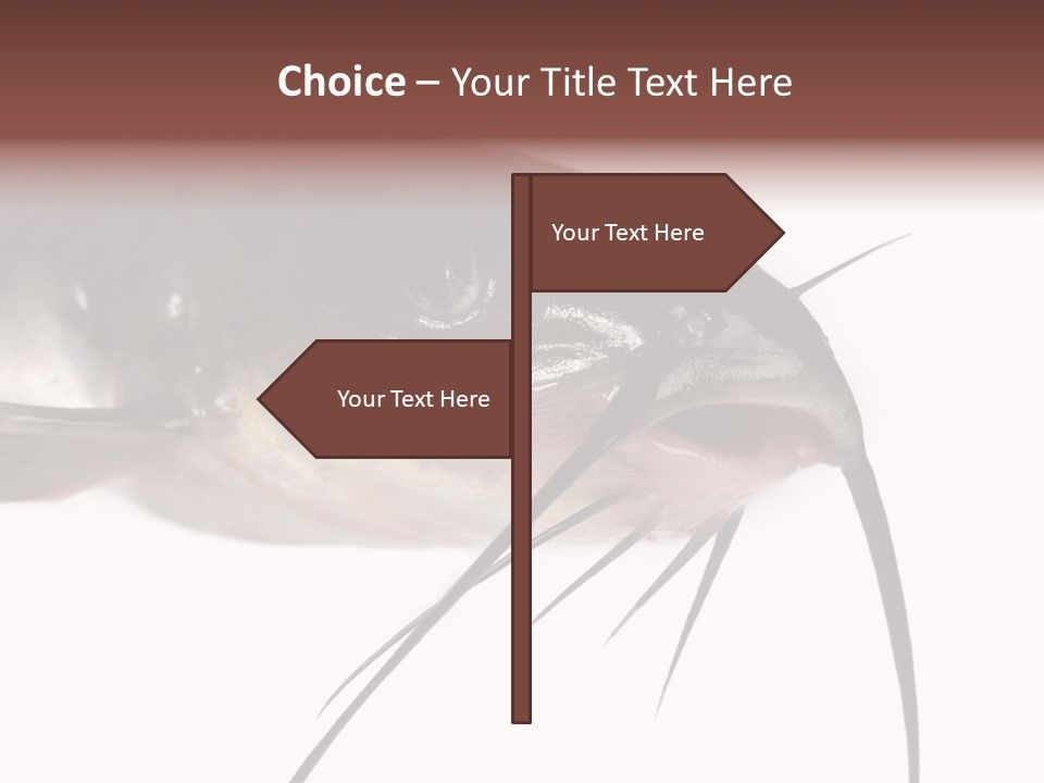 Catch American Raw PowerPoint Template