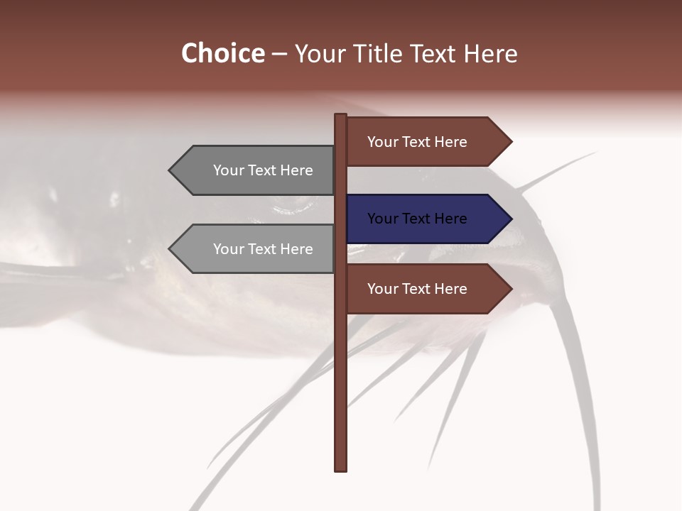 Catch American Raw PowerPoint Template