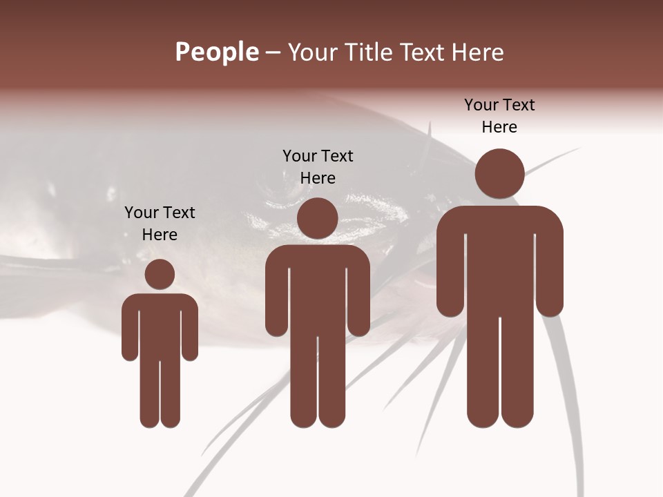 Catch American Raw PowerPoint Template