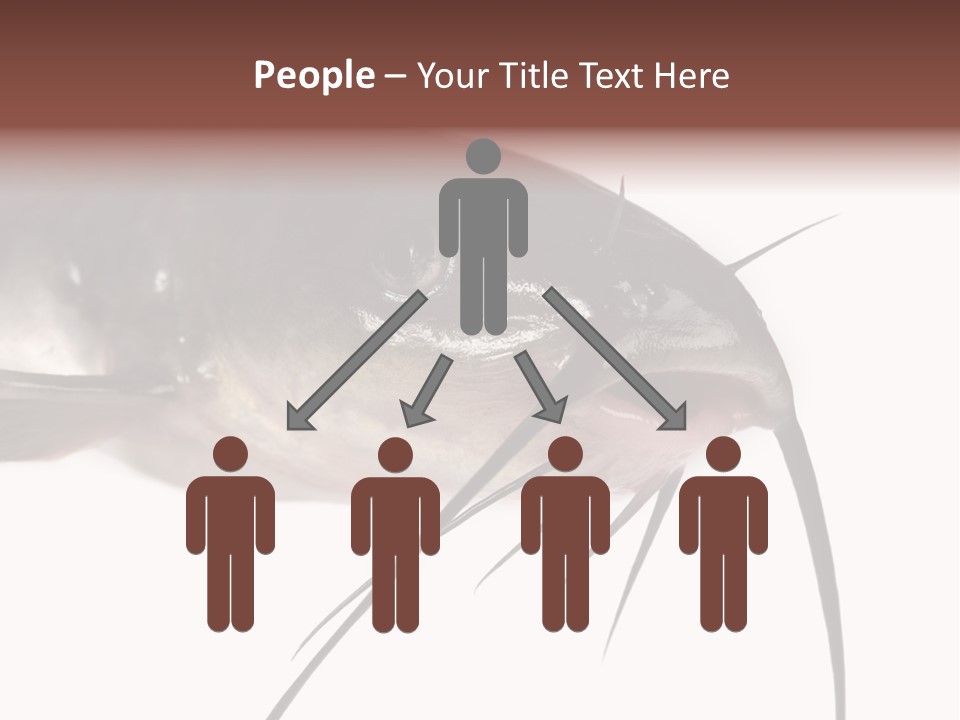 Catch American Raw PowerPoint Template