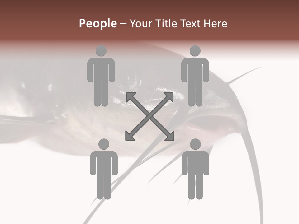 Catch American Raw PowerPoint Template